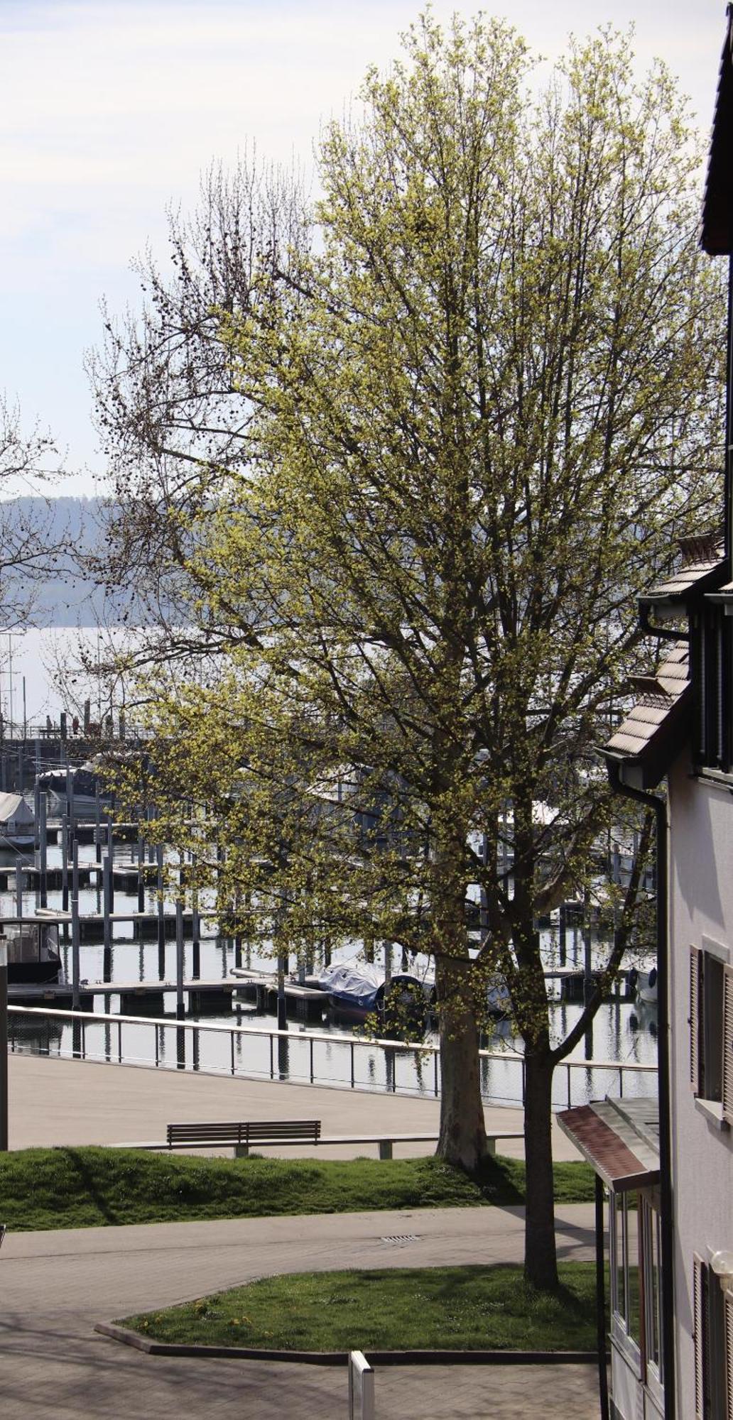 Gaestehaus Maeder Am Hafen Uhldingen-Mühlhofen Extérieur photo
