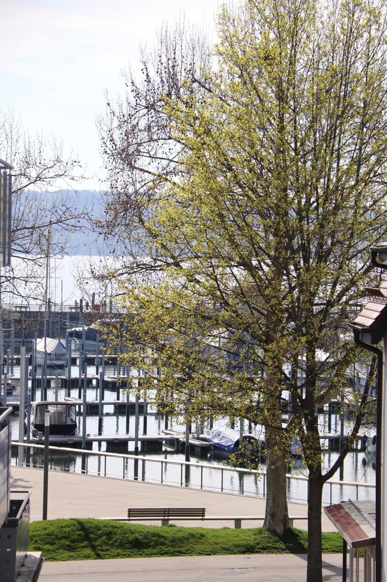 Gaestehaus Maeder Am Hafen Uhldingen-Mühlhofen Chambre photo