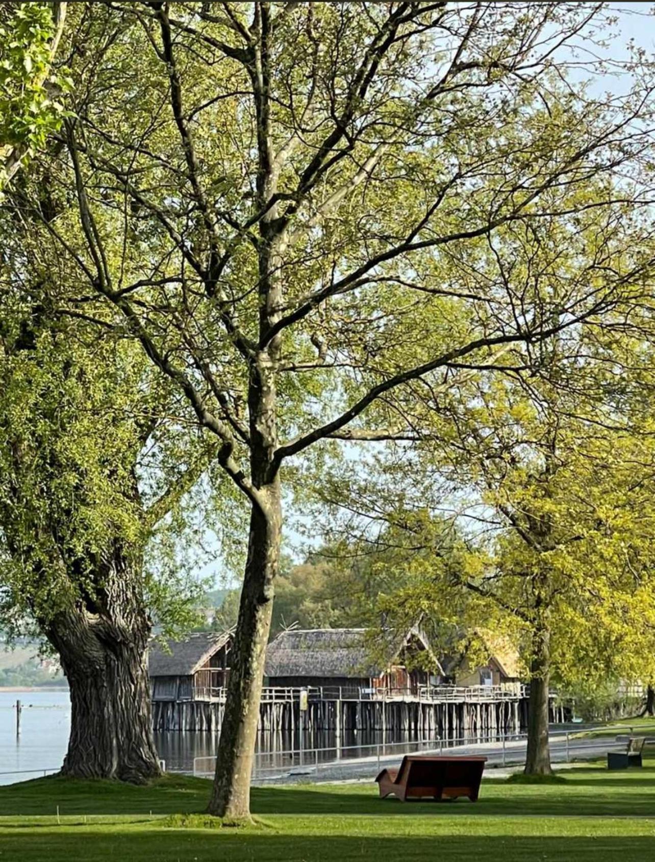 Gaestehaus Maeder Am Hafen Uhldingen-Mühlhofen Extérieur photo