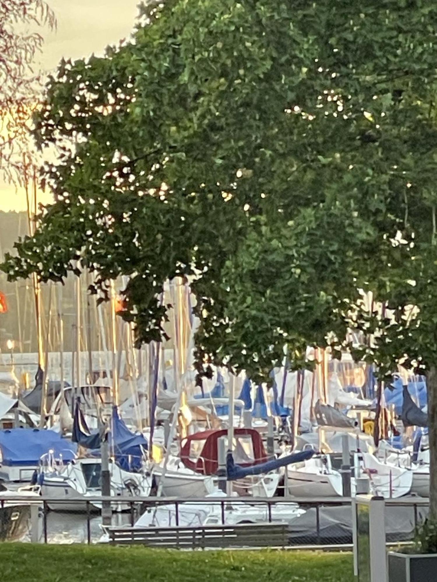 Gaestehaus Maeder Am Hafen Uhldingen-Mühlhofen Extérieur photo